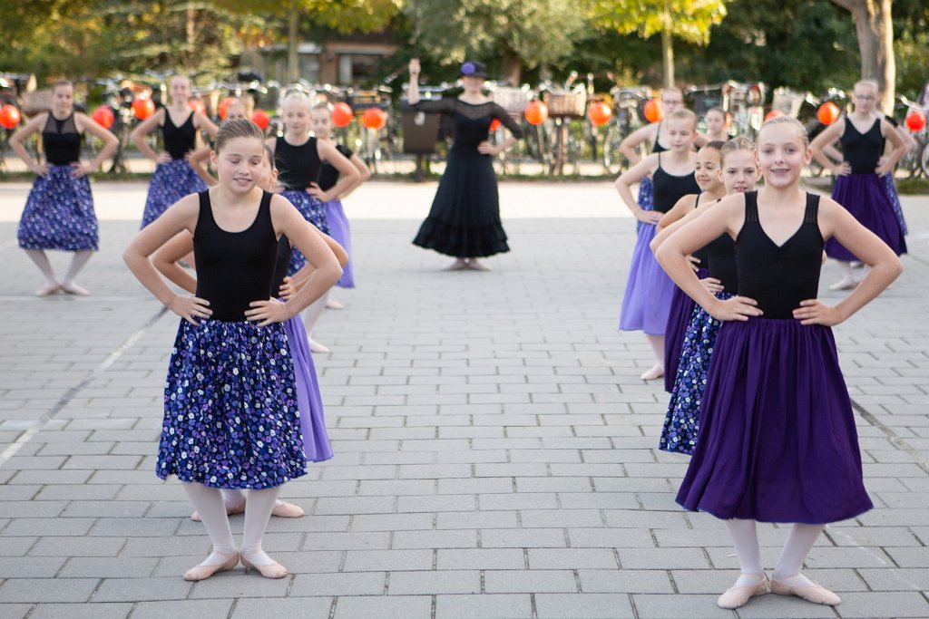 Schoolplein Festival A072.jpg